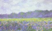 Claude Monet Field of Yellow Iris at Giverny France oil painting artist